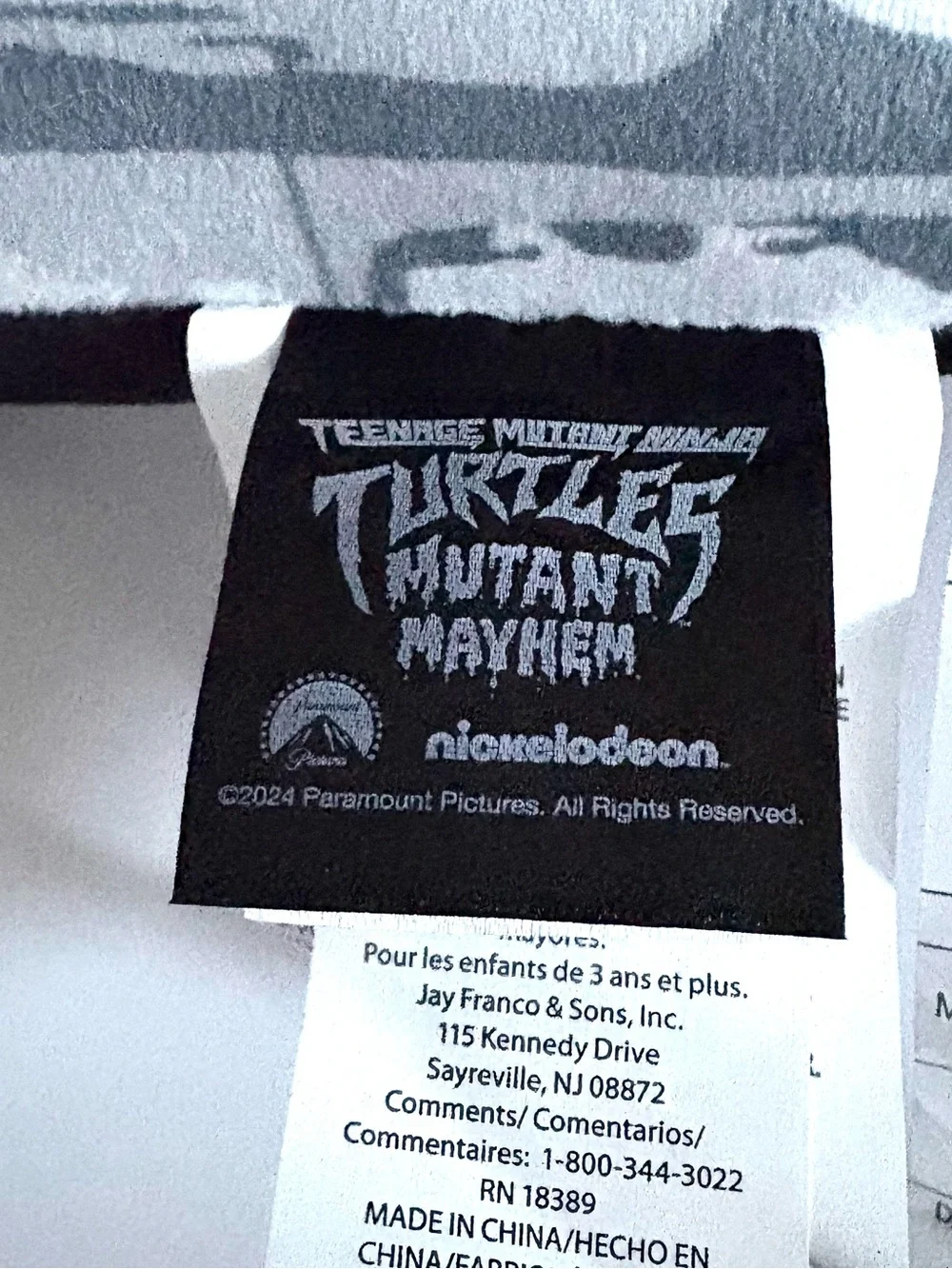 Teenage Mutant Ninja Turtles SMALL Decorative Pillow 10” x 10”